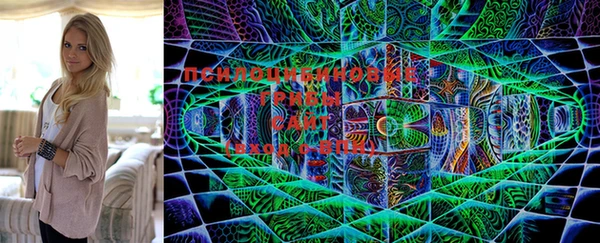 mdpv Долгопрудный